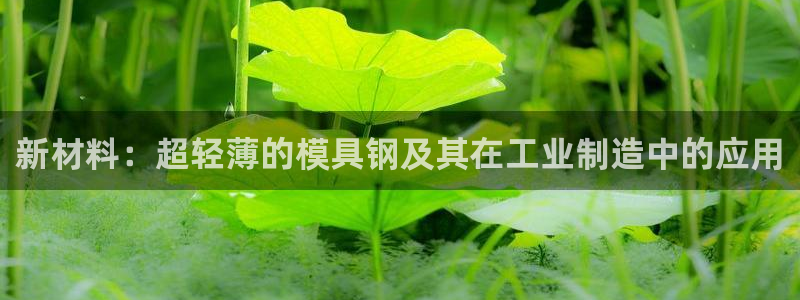 太阳集团是一家什么公司：新材料：超轻薄的模具钢及其在工业制造中的应用