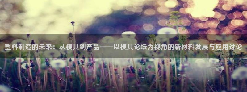 太阳董事长：塑料制造的未来：从模具到产品——以模具论坛为视角