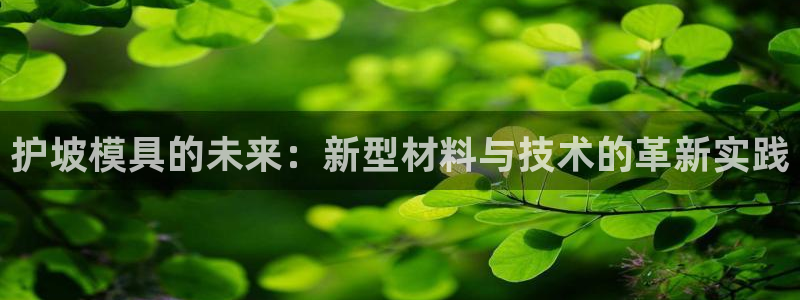 澳门太阳成城集团洗米华：护坡模具的未来：新型材料与技术的革新实践