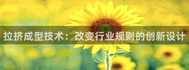 太阳集团城：拉挤成型技术：改变行业规则的创新设计