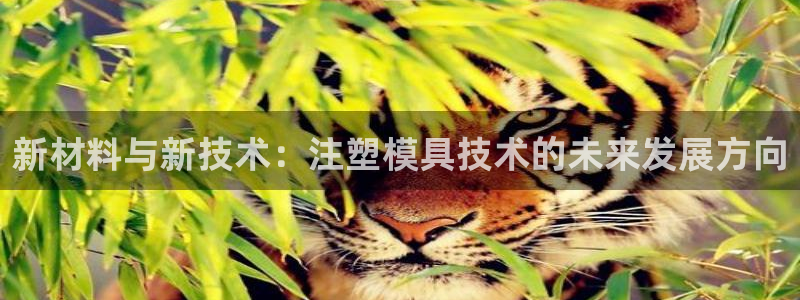 太阳集团董事长是谁照片：新材料与新技术：注塑模具技术的未来发展方向