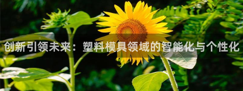 太阳集团的老总是谁：创新引领未来：塑料模具领域的智能化与个性化
