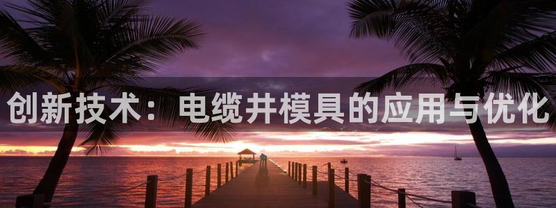 太阳成集团tyc3345：创新技术：电缆井模具的应用与优化
