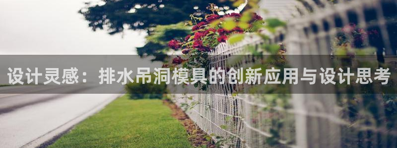 太阳成集团控股：设计灵感：排水吊洞模具的创新应用与设计思考