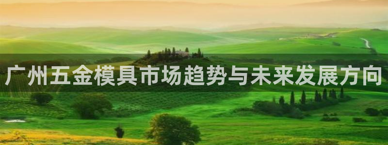 太阳集团怎么样：广州五金模具市场趋势与未来发展方向