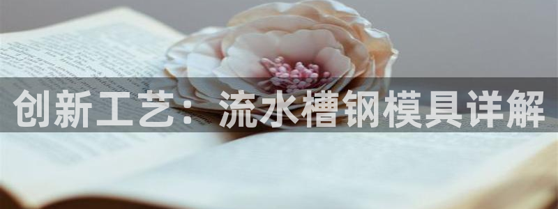 太阳集团电子游戏登录：创新工艺：流水槽钢模具详解