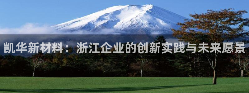 太阳集团城入口：凯华新材料：浙江企业的创新实践与未来愿景