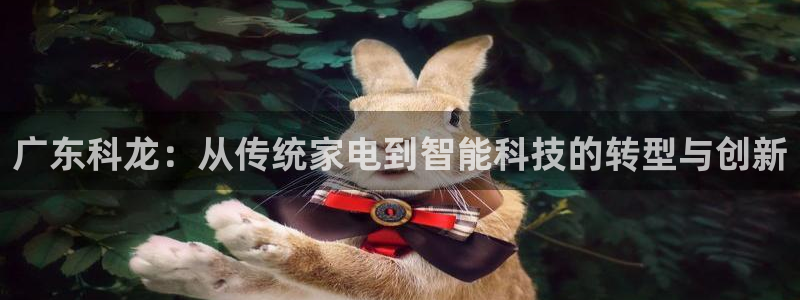 太阳集团影视：广东科龙：从传统家电到智能科技的转型与创新