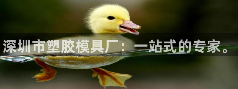太阳集团备用网址：深圳市塑胶模具厂：一站式的专家。