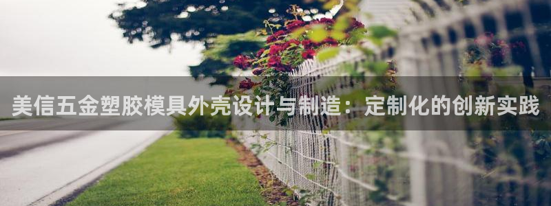 古天乐太阳集团城app：美信五金塑胶模具外壳设计与制造：定制