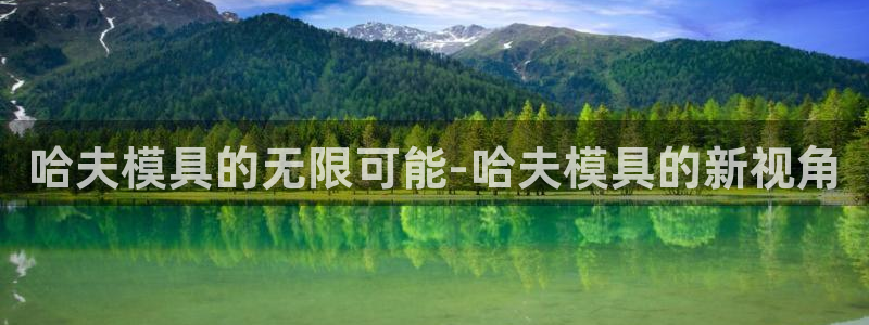 太阳集团总裁：哈夫模具的无限可能-哈夫模具的新视角