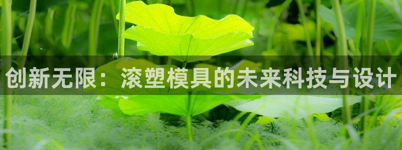 古天乐和太阳集团什么关系：创新无限：滚塑模具的未来科技与设计
