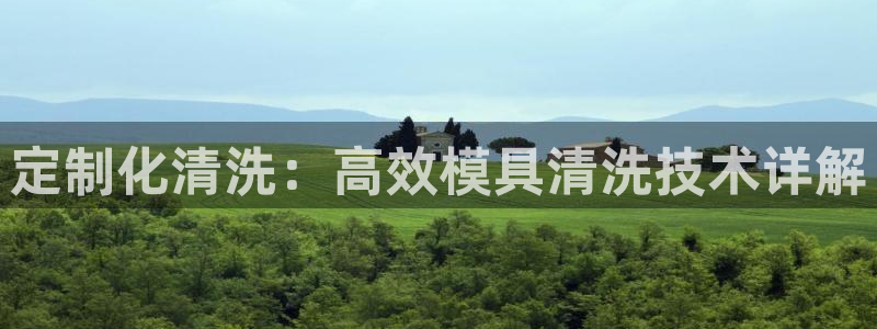 太阳成集团tyc122ccvlp：定制化清洗：高效模具清洗技术详解
