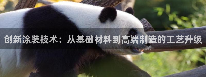 太阳控股集团有限公司董事长